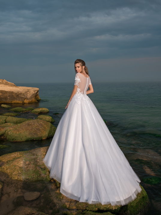 sn-033-pola-3 sn-033-pola-3