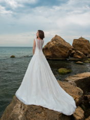 sn-040-polly-3