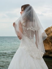 sn-040-polly-4