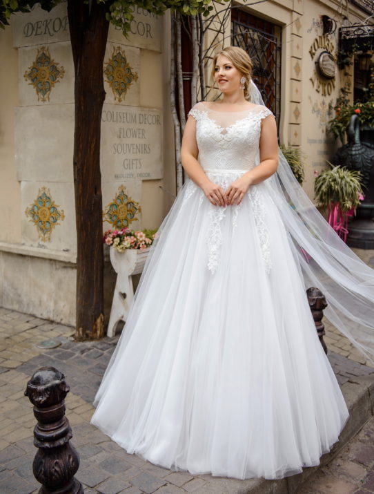 s-484-sherry-2